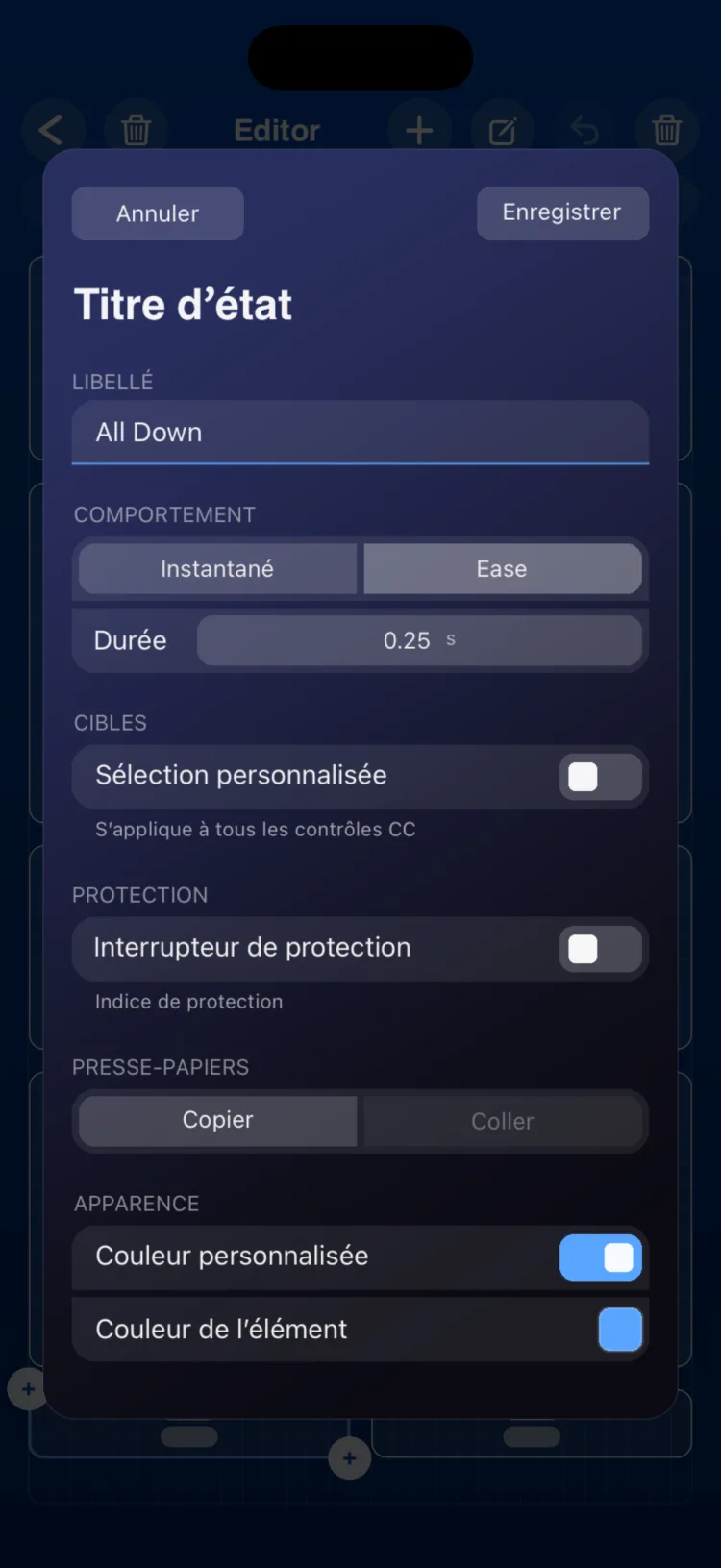 Options de l’inspecteur