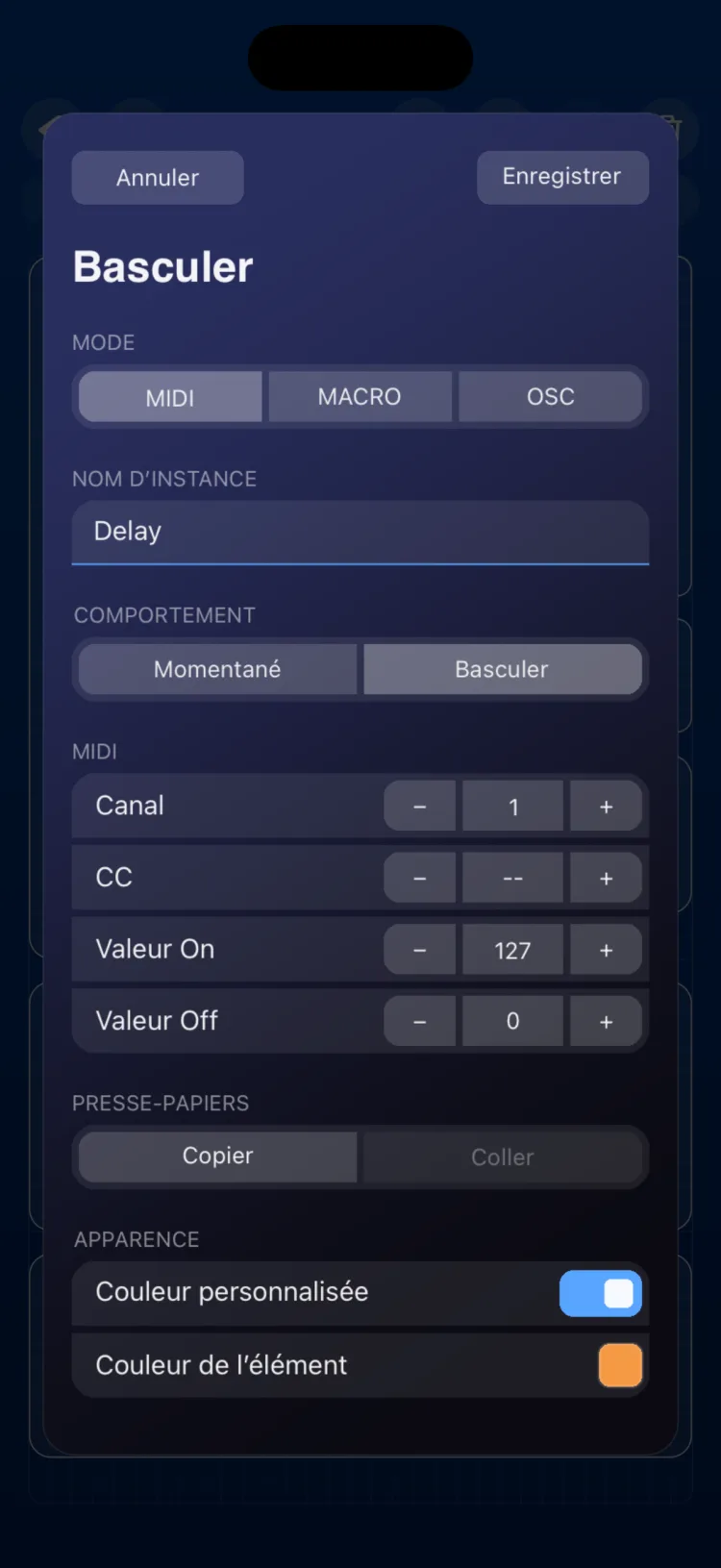 Options de l’inspecteur