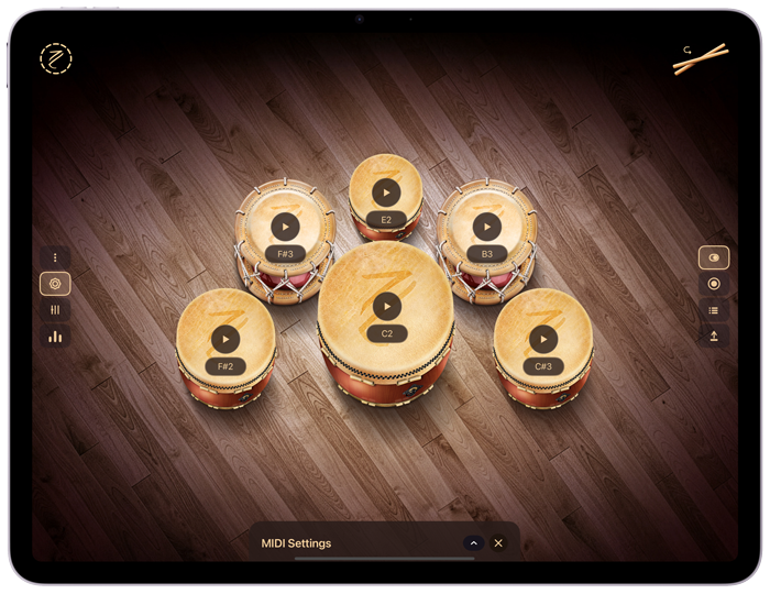 Taiko Drums — MIDI Pads